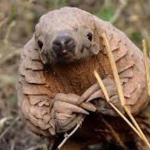 KSmith-55c2c2ae's avatar